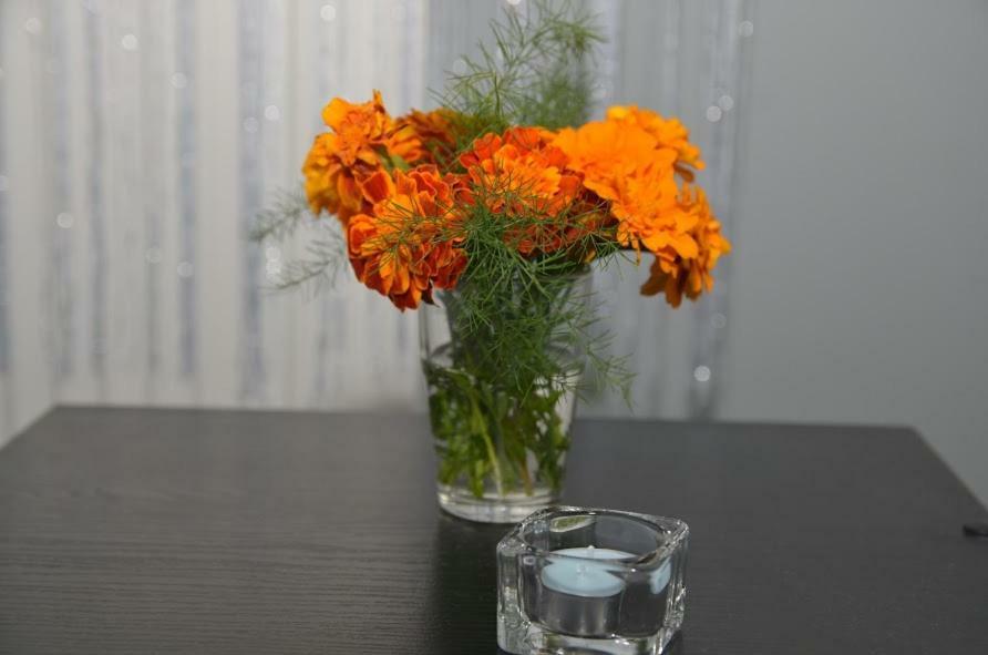 Apartament Skalka Jaworzno Esterno foto